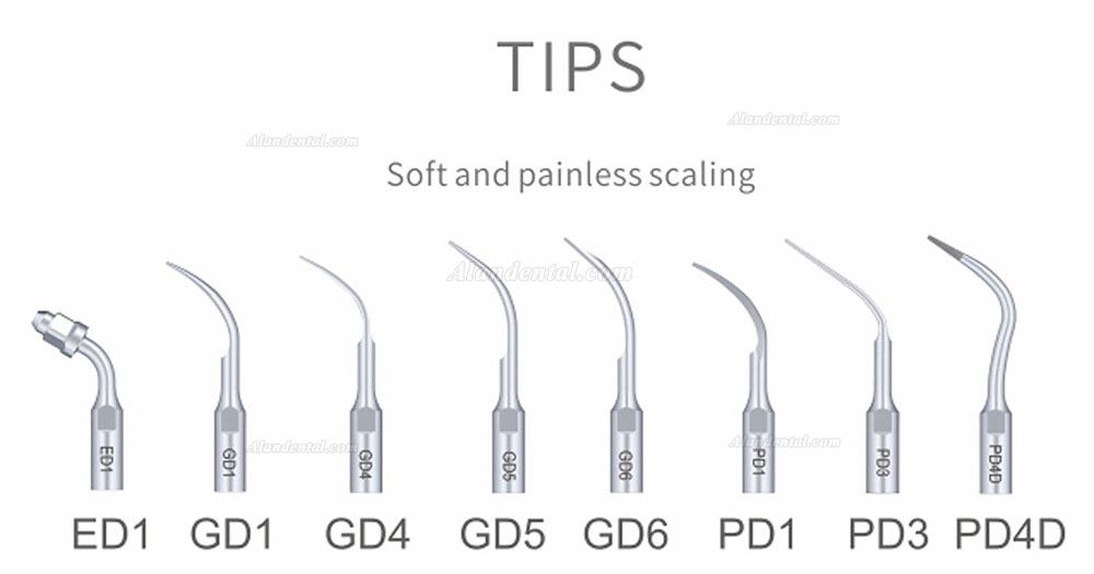 Woodpecker® DTE D7 Dental Ultrasonic Scaler SATELEC Compatible FDA/CE